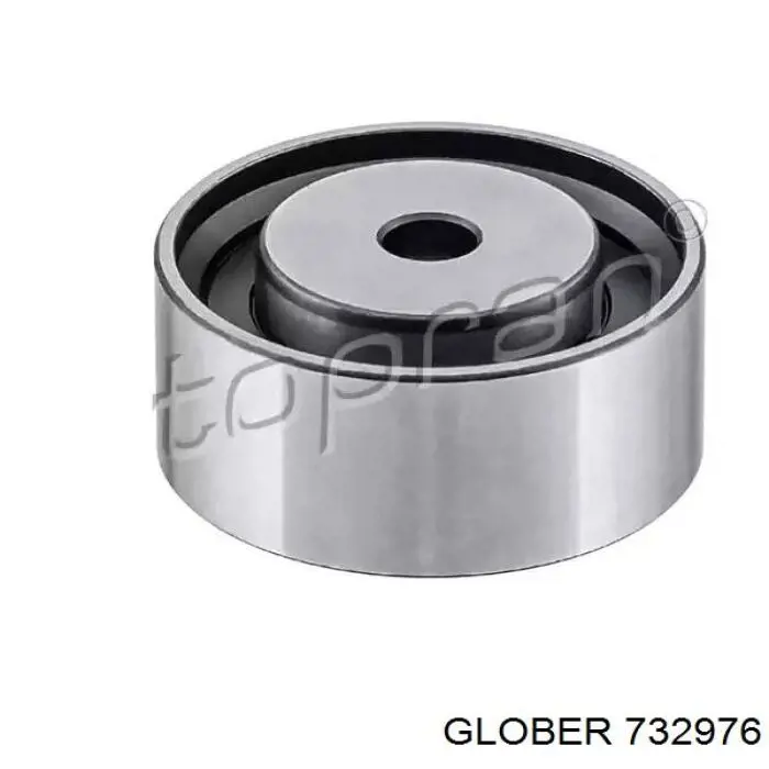 Купити 732976 Glober Ролик паразитний ГРМ