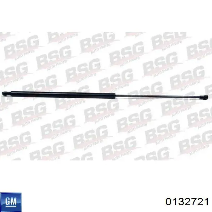 Амортизатор багажника 0132721 General Motors