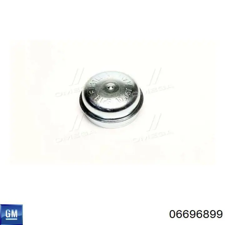 Заглушка маточини General Motors 06696899 ціна, від 1.17 USD