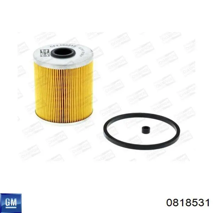 Паливний фільтр 0818531 General Motors