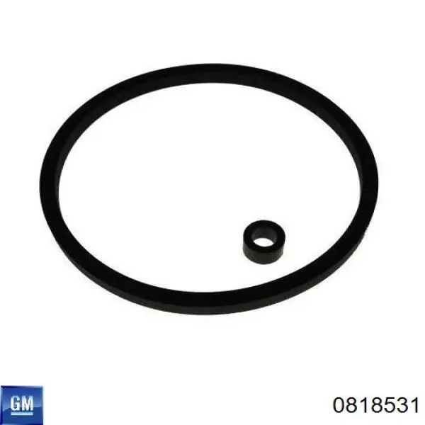 Фільтр тонкого очищення палива General Motors 0818531 ціна, від 6.19 USD
