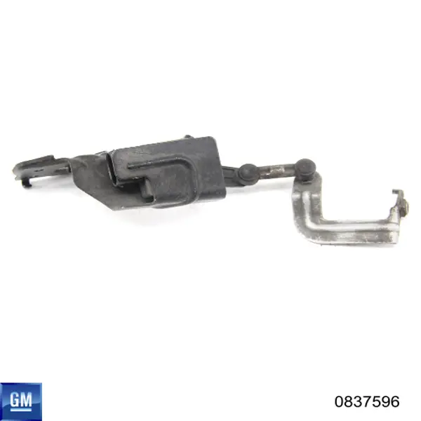 0837596 General Motors 