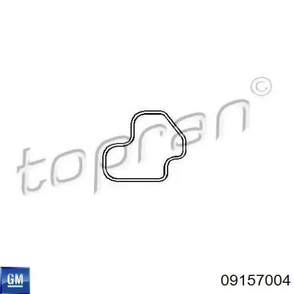 Прокладка фланця (трійника) системи охолодження Opel Antara (L07) (Опель Антара)