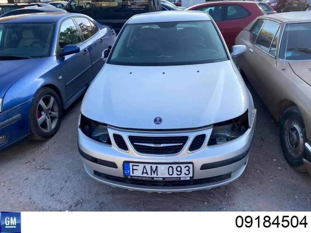 Купити 09184504 General Motors 