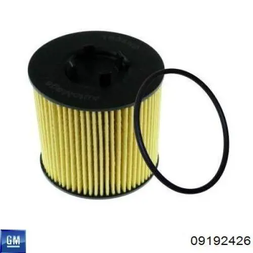 Купити 09192426 General Motors Фільтр очищення масла відцентровий