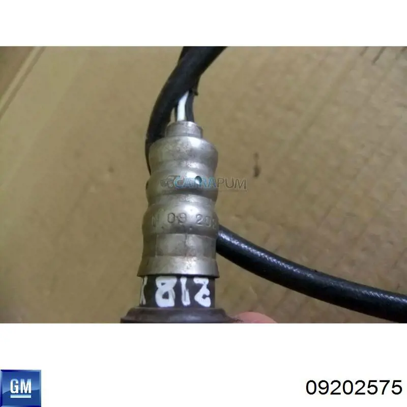 Купити 09202575 General Motors Лямбдазонд, датчик кисню до каталізатора