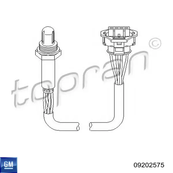 Лямбдазонд, датчик кисню до каталізатора 09202575 General Motors