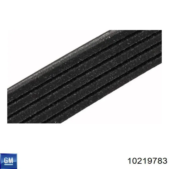 10219783 General Motors Поліклиновий ремінь