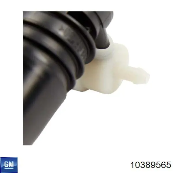  10389565 General Motors