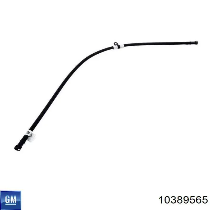 10389565 General Motors 