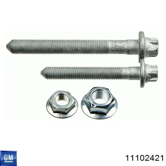 Купити 11102421 General Motors Болт кріплення заднього розвальний важеля, зовнішній