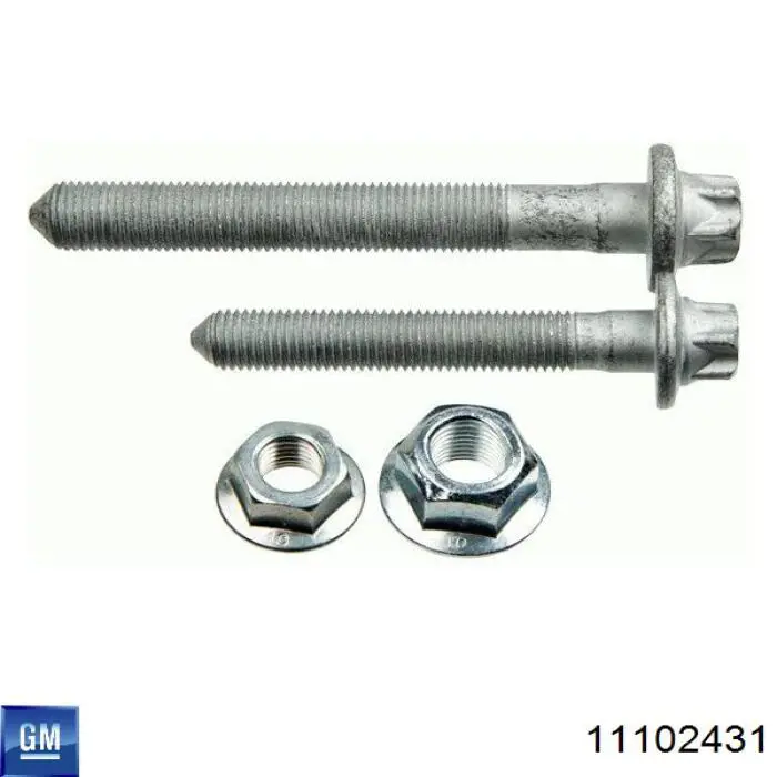 11102431 Opel 