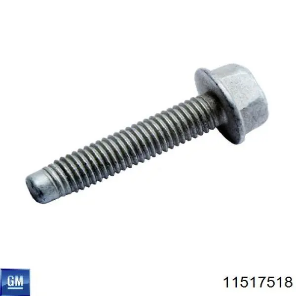 Купити 11517518 General Motors 