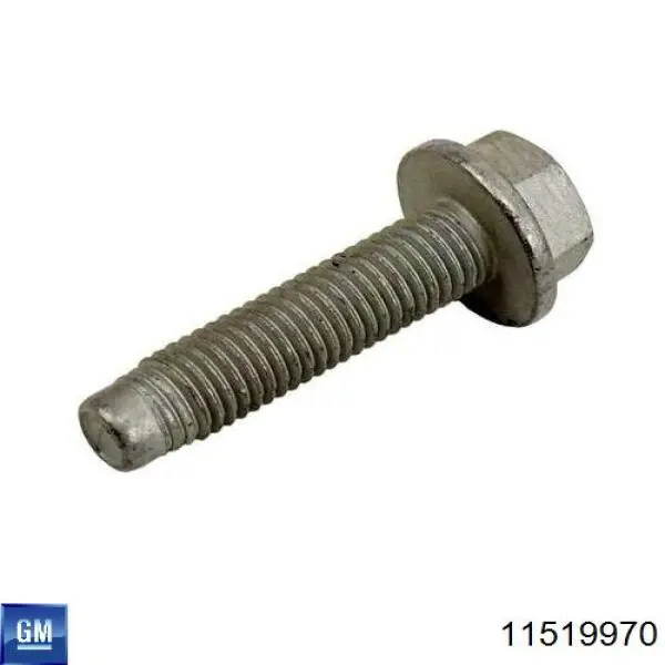 Купити 11519970 General Motors 