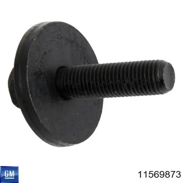 Купити 11569873 General Motors 