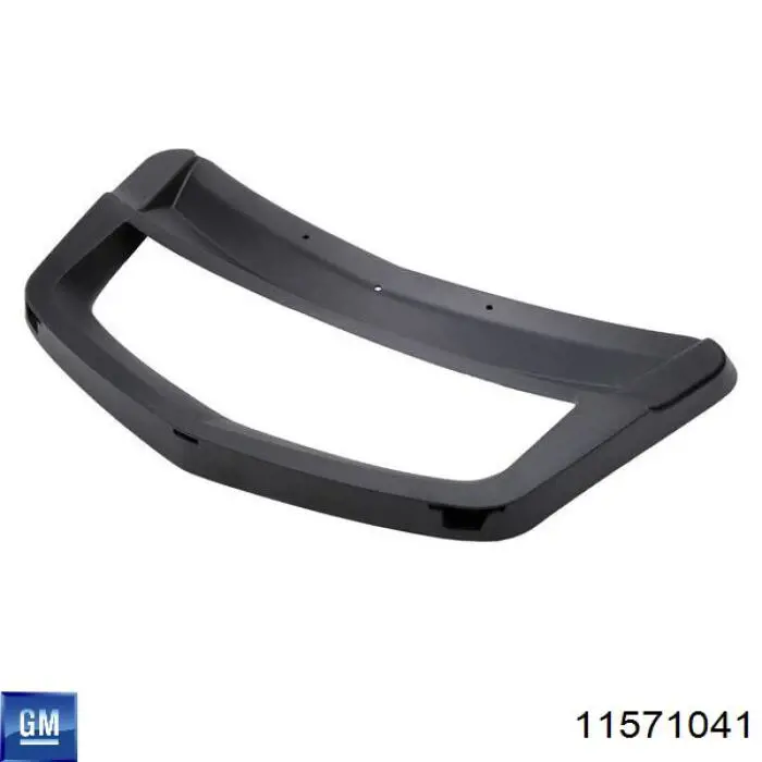  General Motors 11571041