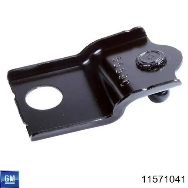 Купити 11571041 General Motors 