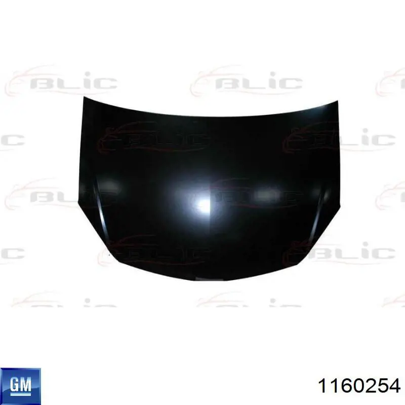 Капот 5052280EC Platinum