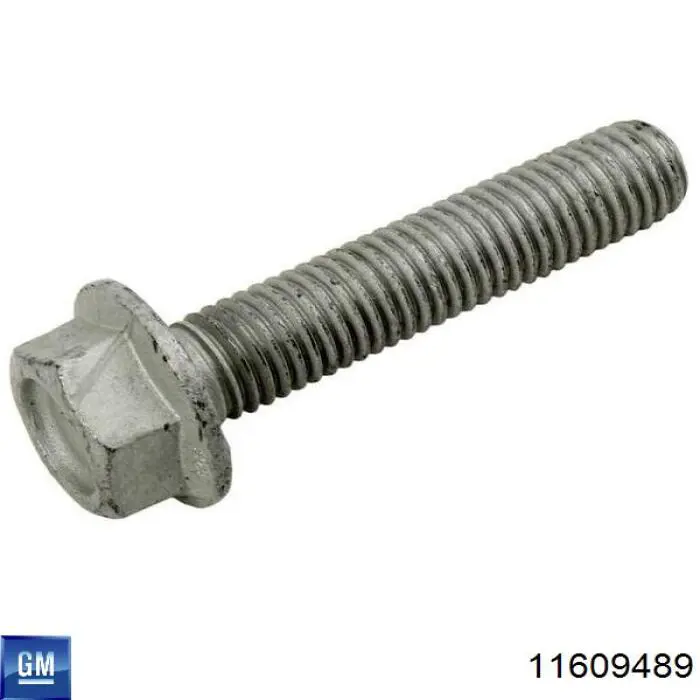Купити 11609489 General Motors 