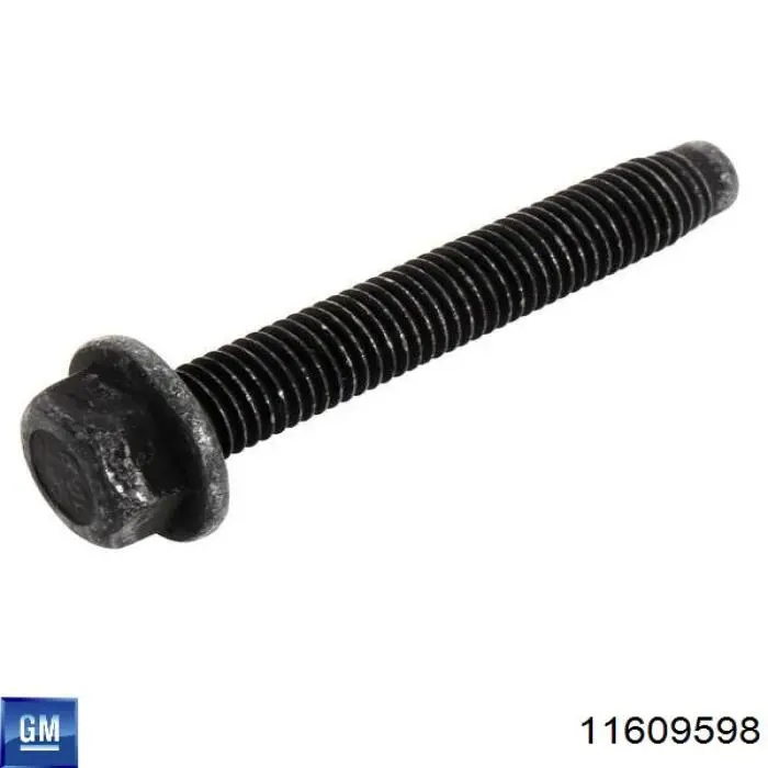 Купити 11609598 General Motors 