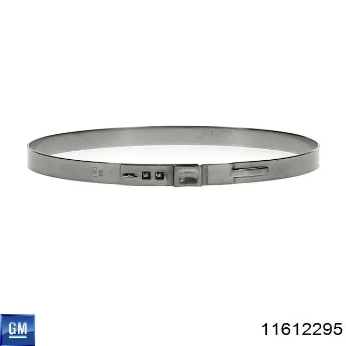 Купити 11612295 General Motors 