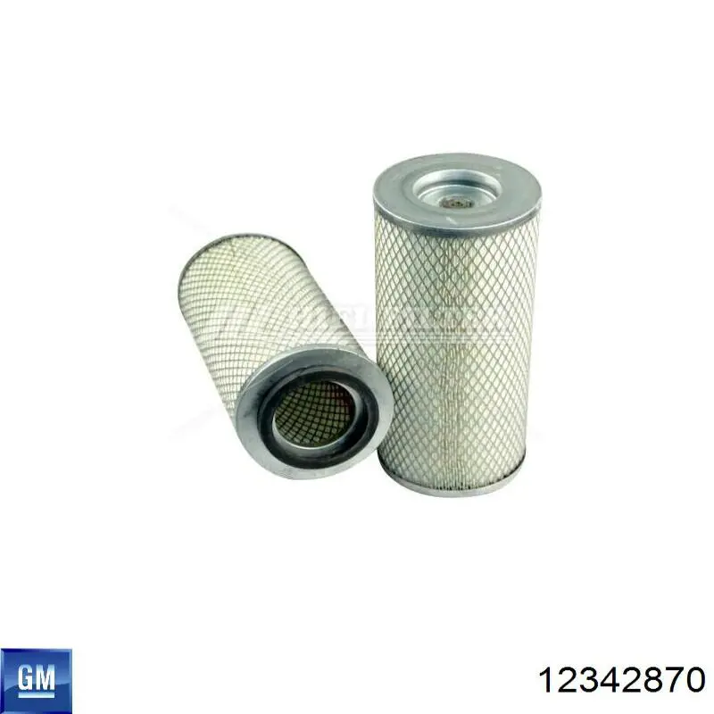 Повітряний фільтр 19112839 General Motors