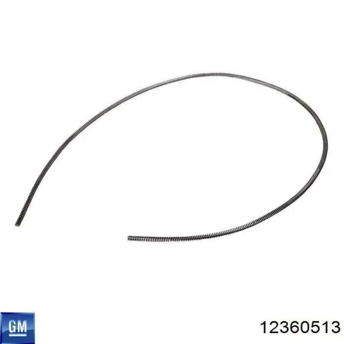 12360513 General Motors 