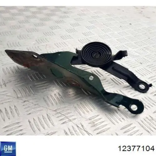 Капот General Motors 12377104 ціна, від 246.44 USD