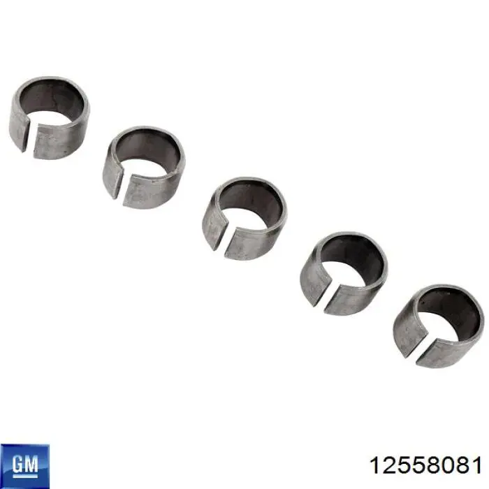  General Motors 12558081 ціна, від 6.25 USD