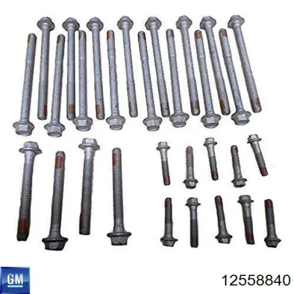 Купити GS33449 Mahle Original Болт гбц