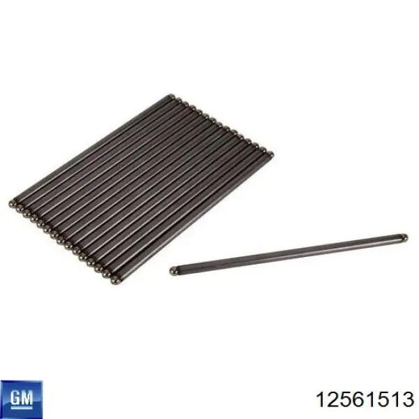 12561513 General Motors Демпфер колінвалу