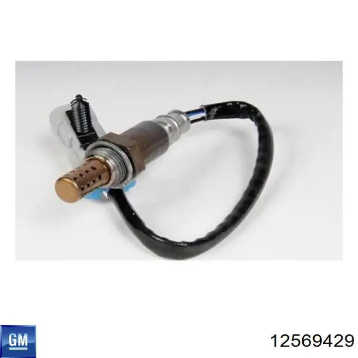 Лямбда зонд, датчик кисню до каталізатора General Motors 12587785