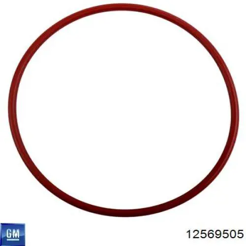 Ремінь кондиціонера General Motors 12569505