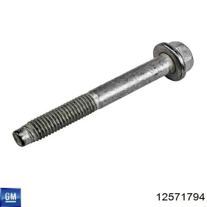 Ролик приводного ременя, паразитний General Motors 19253073
