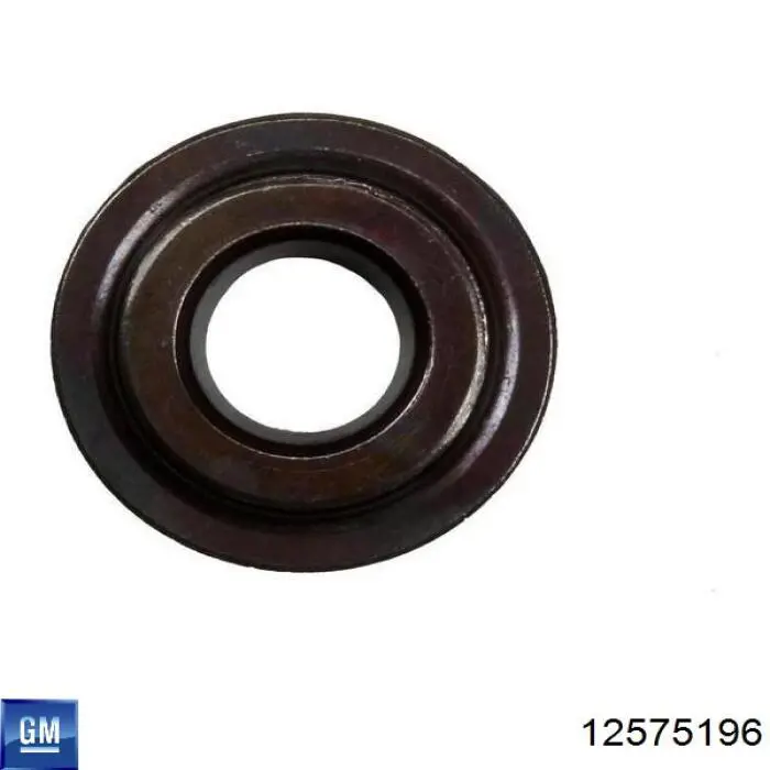 Купити 12575196 General Motors 