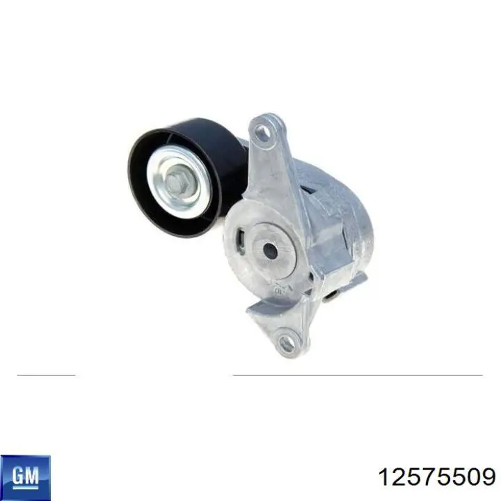 Ролик приводного ременя, паразитний General Motors 12575509