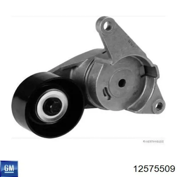 12575509 General Motors Ролик приводного ременя, паразитний