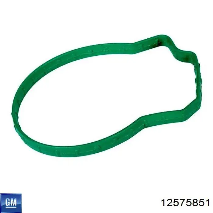 Прокладка впускного колектора General Motors 12575851 ціна, від 10.34 USD