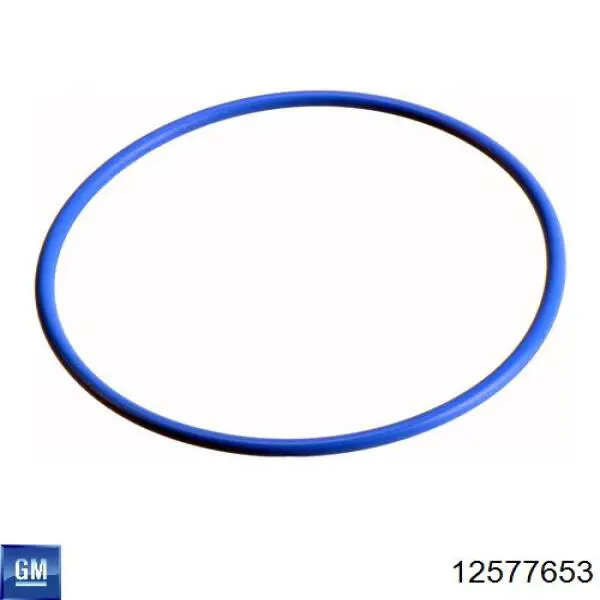 Купити 12577653 General Motors 