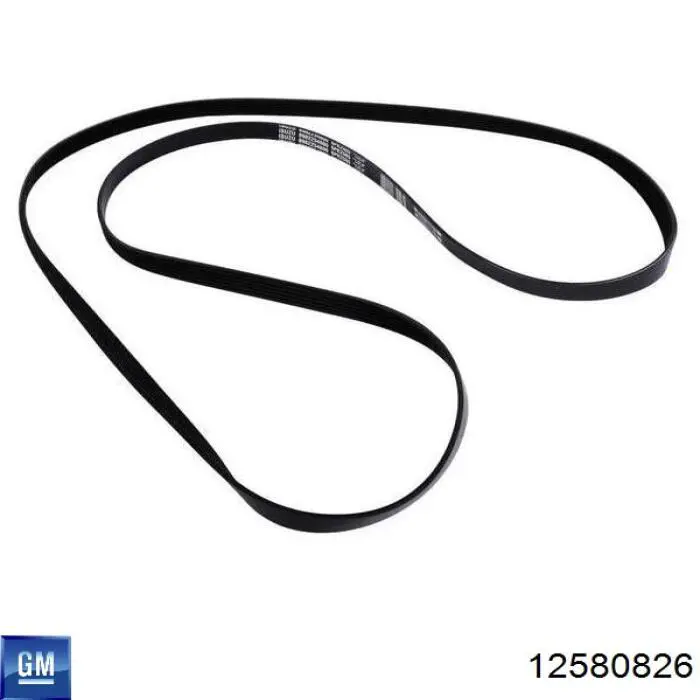 Клиновий ремінь General Motors 12580826 ціна, від  