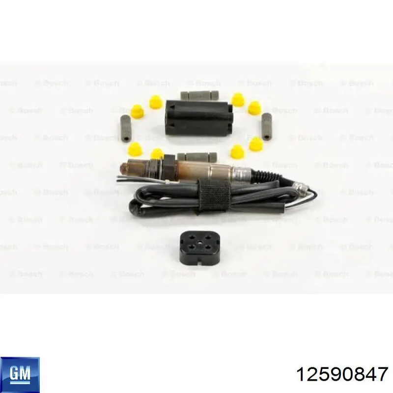  12590847 General Motors
