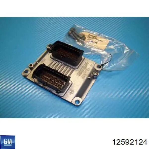 12592124 General Motors Блок електронного управління
