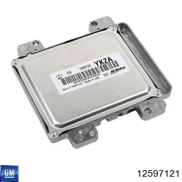 12597121 General Motors 