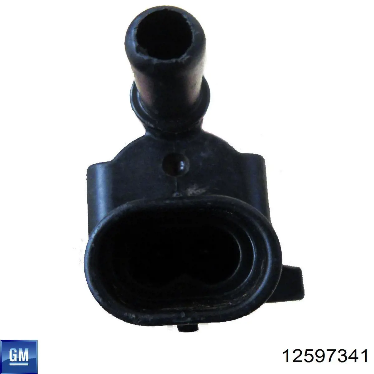 Купити 12597341 General Motors Блок клапанів АКПП