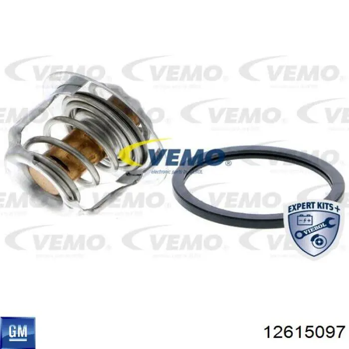 Автомобільний термостат General Motors 12615097 ціна, від 13.11 USD