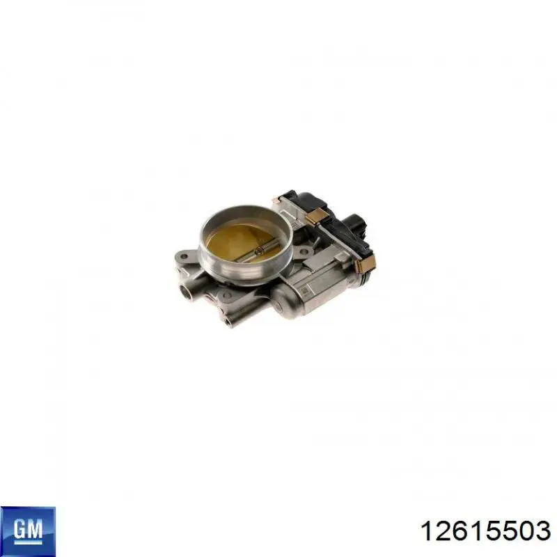 Блок дросельної заслінки General Motors 12615503 ціна, від 259.16 USD