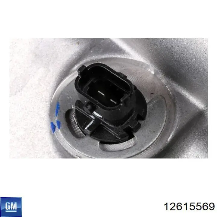 12615569 General Motors 