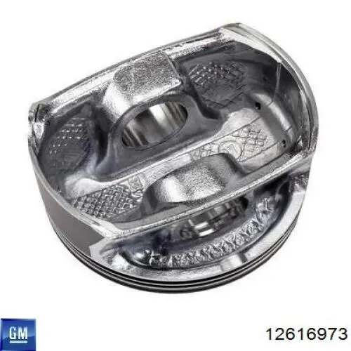 Купити 12616973 General Motors 