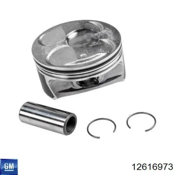  General Motors 12616973 ціна, від 31.33 USD