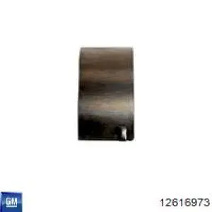  12616973 General Motors